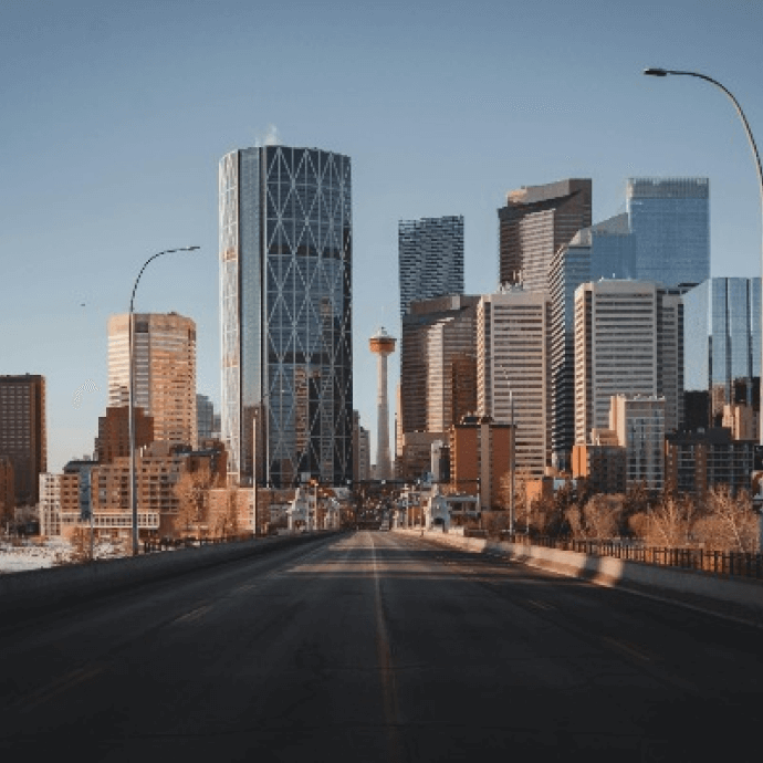 Dholera Estate residential plot